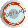 Mustang Consulting